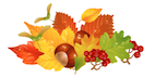 Link to Autumn Term 1  Curriculum Letter