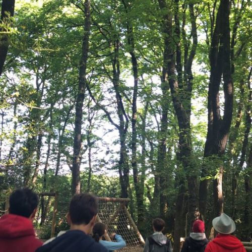 PGL27May5
